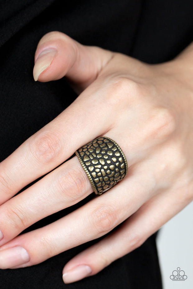 Paparazzi ♥ Dotted Decorum - Brass ♥ Ring