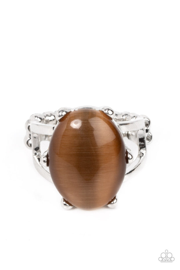 Paparazzi ♥ Enchantingly Everglades - Brown ♥ Ring