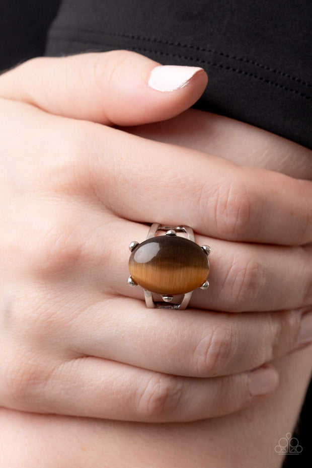 Paparazzi ♥ Enchantingly Everglades - Brown ♥ Ring