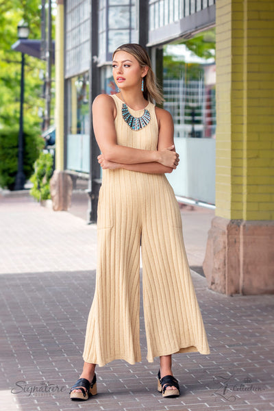 The Ebony 2022 Paparazzi Zi Collection - Silver Necklace