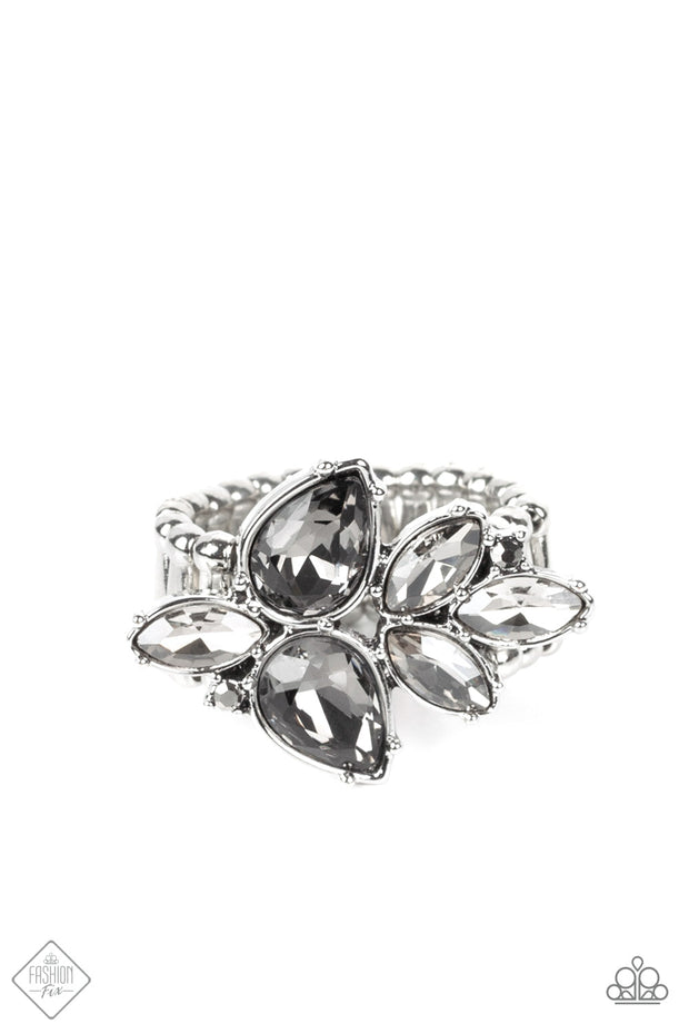 Paparazzi ♥ Ice-Cold Couture - Silver ♥ Ring